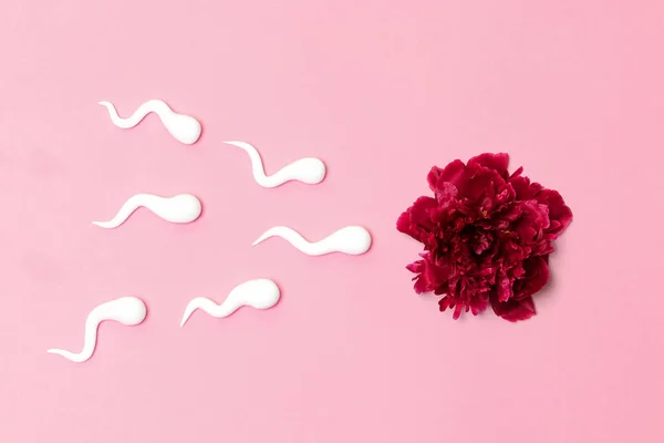 Medisch concept van kunstmatige inseminatie. In vitro fertilisatie. Rode pioen bloem met kunststof sperma vormen — Stockfoto