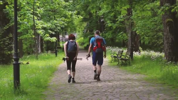 带着背包的游客在步行道上独自穿过森林中的绿色小山 在山里徒步旅行 假日假期 — 图库视频影像