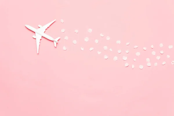 Concetto di viaggio con petali piani e floreali su sfondo rosa con spazio copia. Pianificazione del viaggio — Foto Stock