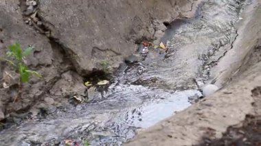 Kanalizasyondan gelen kanalizasyon. Şehirden gelen kötü su ile kanalizasyona atık su akışı, su kirliliği, kanalizasyon drenaj borusu kir kanalizasyon su drenaj atık su arıtma.