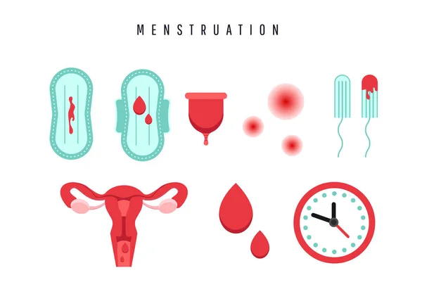 Konzept der weiblichen Menstruation. Gebärmutter mit Eierstock, Abstrichen, Dichtung, Menstruationstasse und Bluttropfen. — Stockvektor