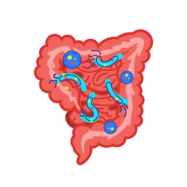 Tıp, biyoloji kavramı. Kalın bağırsak. Gastrointestinal. Bakteri, virüs ile sindirim sistemi.