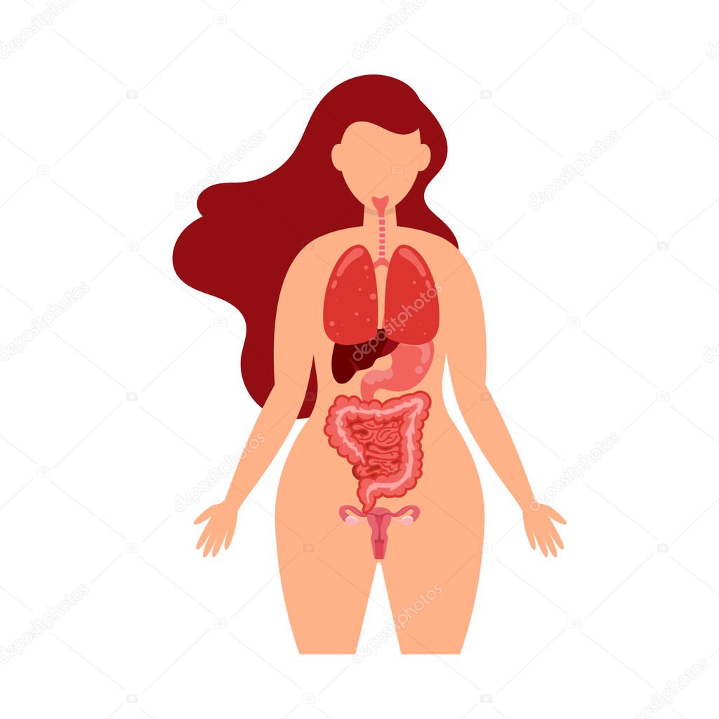 Human body health care infographics of lungs, digestive tract, large intestine, liver and stomach
