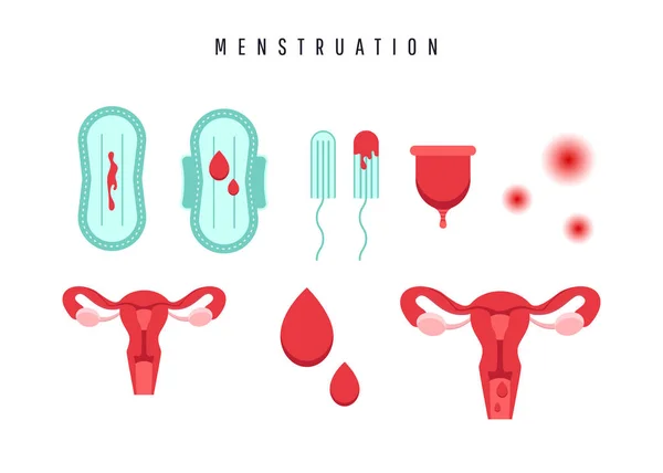 Útero humano y ovarios. Concepto de menstruación femenina. Útero con órgano ovárico, hisopos, junta, copa menstrual y gota de sangre. Dolor de estómago — Vector de stock