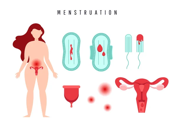 Mänskliga livmodern och äggstockarna. Kvinnlig menstruation koncept. Livmoder med äggstocks orgel, svabbar, packning, menstruations bägare och blod droppe. Magont — Stock vektor