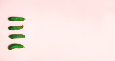 Pembe arka plan üzerinde salatalık yapılmış yaratıcı düzen. Düz yatıyordu.