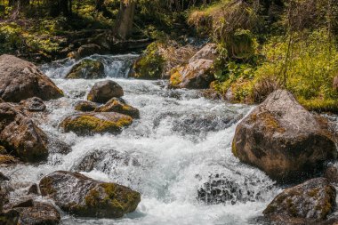 Tırmanma kayaları ve büyük taşlar taze yeşillik ve bitkilerin arka planına karşı akar.