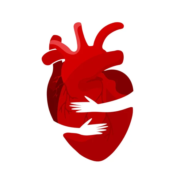 Ιατρική ιδέα για ένα κόκκινο όργανο της καρδιάς σε μια αγκαλιά. Μπορεί να χρησιμοποιηθεί για αφίσες, εικονίδια, banner ιστού και κάρτες — Διανυσματικό Αρχείο