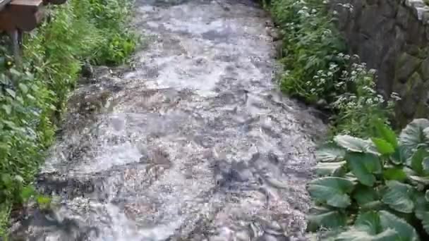 Грубая река. пороги быстрого движения воды — стоковое видео