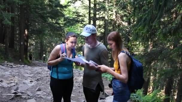 Reisen in die Berge. Wanderer halten Landkarten in der Hand, stehen im Wald und schauen sich um. Der Tourist reist ein. — Stockvideo