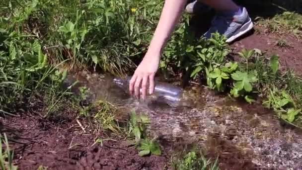 Frauenhände füllen eine Flasche mit Trinkwasser in einem langsamen Bach voller kleiner Felsen und klarem Wasser im Wald — Stockvideo