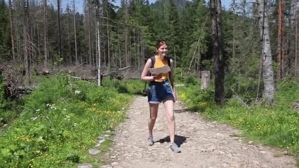 Viajante vai na estrada com um mapa em um fundo de paisagem florestal. Conceito de viagem e férias — Vídeo de Stock