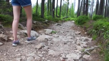 Ormanda yürüyen gezginlerin bacaklarını kapatın. Ormandaki turistler. Aktif yaşam tarzı. Yürüyerek yürümek.
