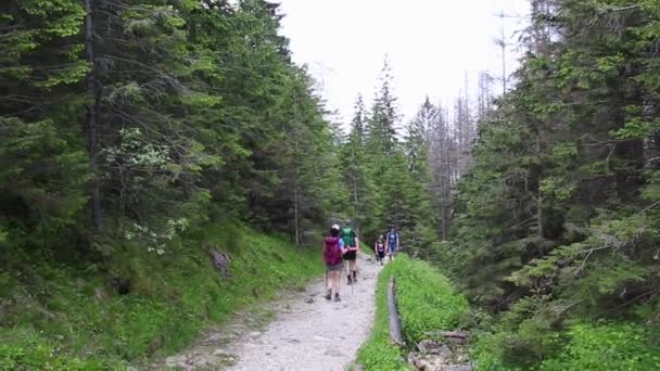 Tatras poloneses, Polônia 12 de junho de 2019: Viajantes descem por uma estrada de pedra — Vídeo de Stock