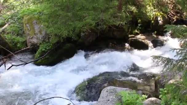 Dettaglio del flusso di acqua dolce attraverso la pietra in un torrente di montagna . — Video Stock