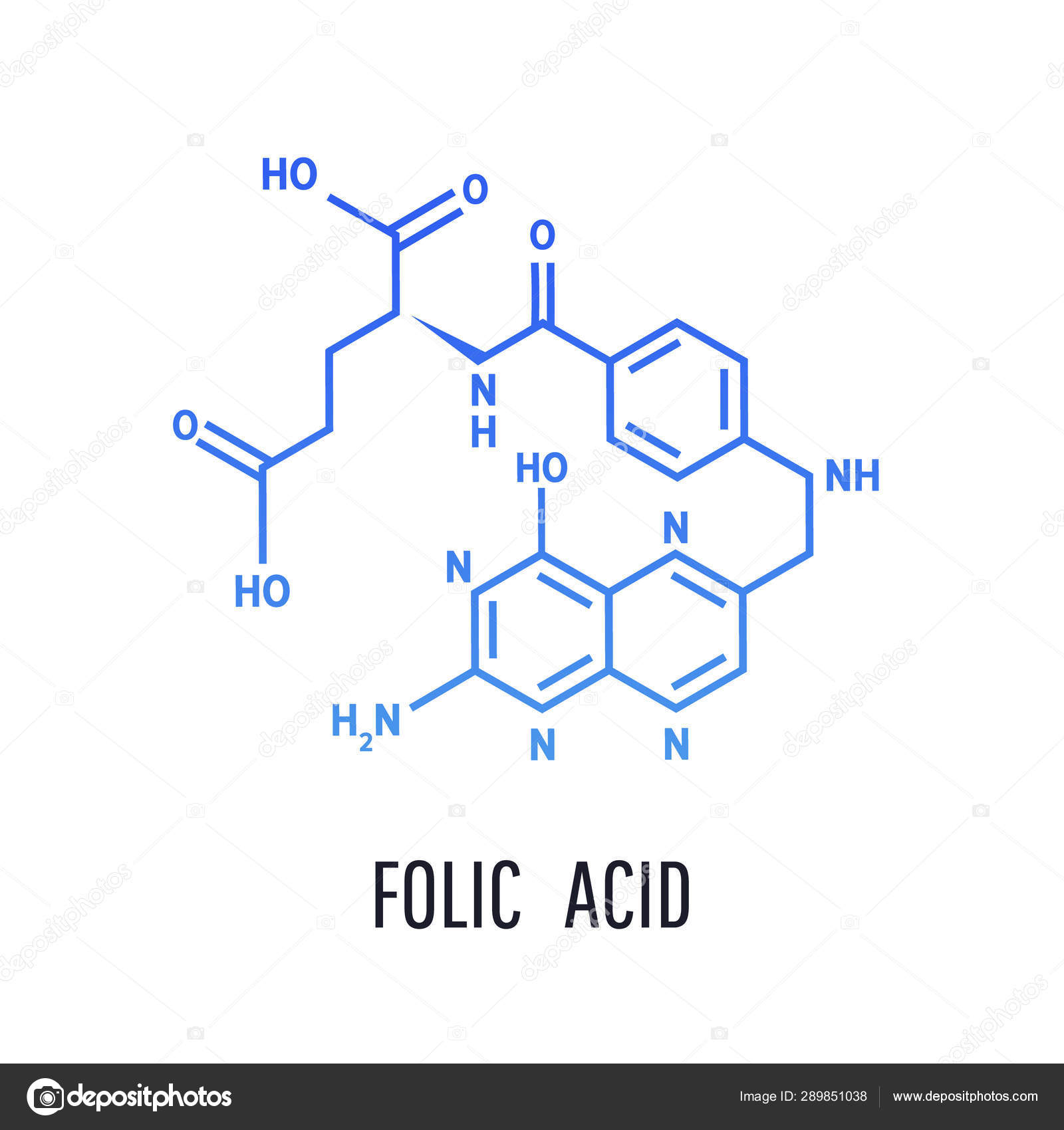 Vitamin B9 Structure