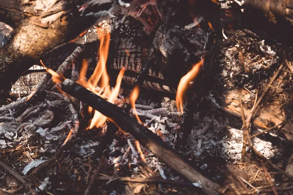 Bonfire in the spring forest. Coals of fire — Stock Photo, Image