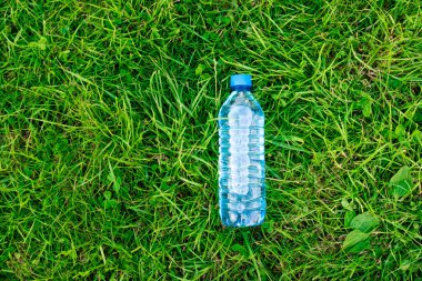 Yeşil çimenlerin üzerinde bir şişe su. Çim ve plastik çim. Doğal ışık. Kalın yumuşak çim.