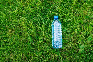 Yeşil çimenlerin üzerinde bir şişe su. Çim ve plastik çim. Doğal ışık. Kalın yumuşak çim.