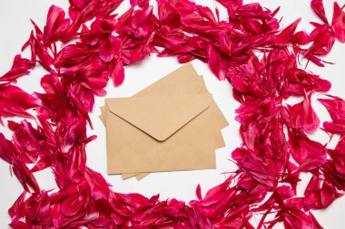 Mockup, kraft zarf, şakayık yaprakları ile minimal masaüstü. Yaratıcı kavram, tebrik kartı şablonu. Yatay