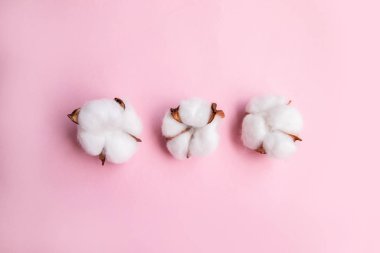 Pamuklu pembe masa üzerinde çiçek kompozisyonu. Düz döşeme, üst görünüm, kopyalama alanı.