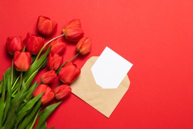 Kırmızı bir arka plan üzerinde metin ve güzel kırmızı laleler için boşluk ile Zarflar. Yakın