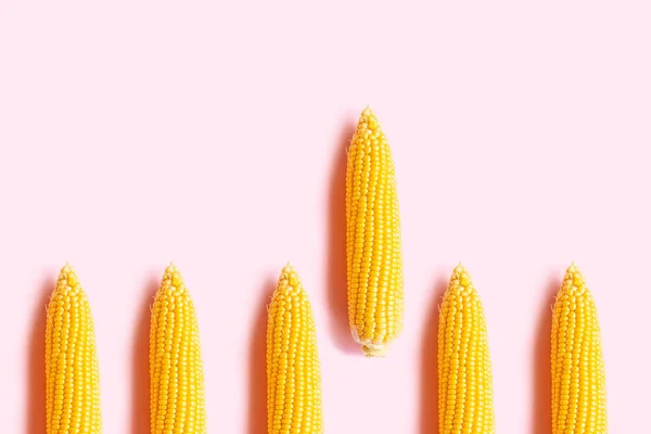 Raw ripe swing corn on a pink background — Stock Photo, Image