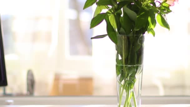 Glazen vaas met bloemen op een witte tafel. — Stockvideo