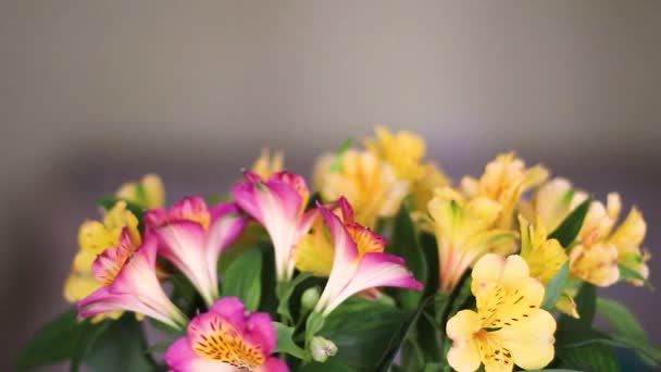 Pretty girl sniffs a bouquet and look at the camera. She takes them to her face and sniffs them. Mothers Day holiday. — Stock Video