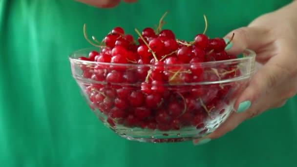 Een meisje in een groene jurk houdt in haar handen een glazen kom met rode rijpe krenten op een roze achtergrond. Summer Berry concept. — Stockvideo