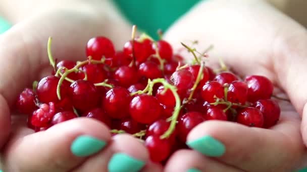 Uma menina em um vestido verde segura em suas mãos uma groselha vermelha madura em um fundo rosa. Conceito de baga de verão. Alimentação saudável — Vídeo de Stock