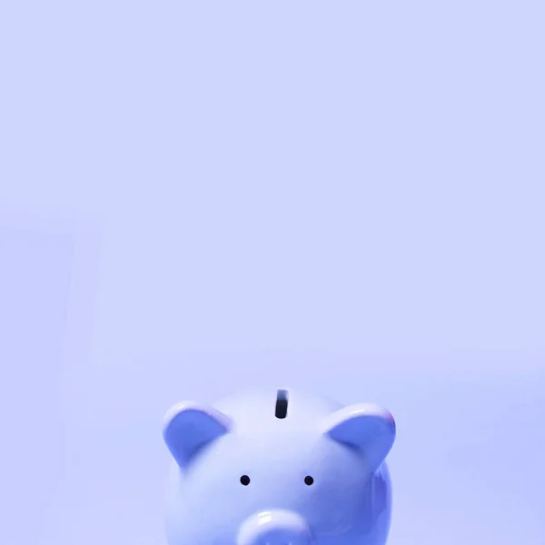 Piggy Bank, koncepcja oszczędności. Oszczędność pieniędzy wynagrodzenia na początku lat. — Zdjęcie stockowe
