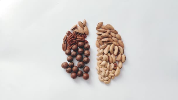 Tangan manusia menempatkan berbagai macam kacang pada latar belakang abu-abu dalam bentuk otak manusia. — Stok Video
