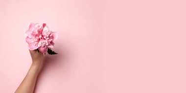 Uluslararası Kadınlar Günü. Anneciğim. Pembe arka planda pembe dallı şakayık çiçeğini tutan kadın eli. Düz biçim.