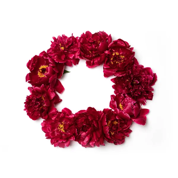Frame made of red peony flowers with copy space for text on white background. Flat lay, top view. Peony flower texture
