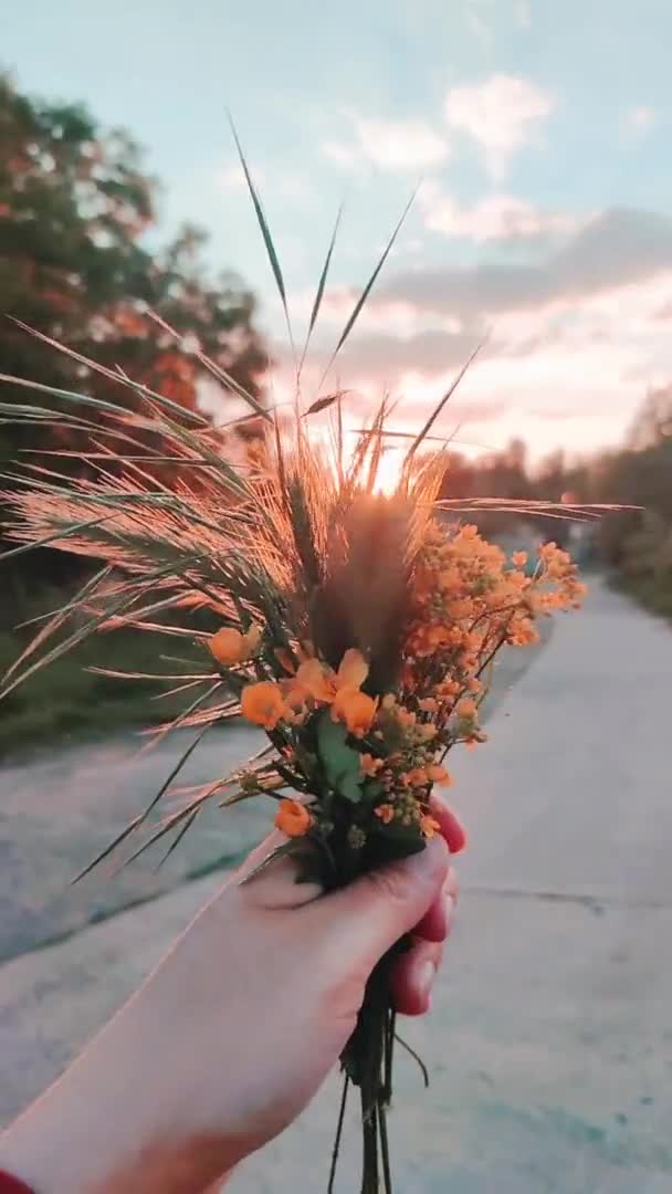 Mão feminina segura buquê de flores silvestres nos raios de luz solar ao pôr do sol. Vídeo vertical, câmera lenta — Vídeo de Stock