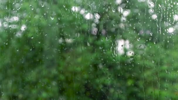 Arkaplan olarak yeşil manzaralı cam üzerine yağmur damlaları. — Stok video