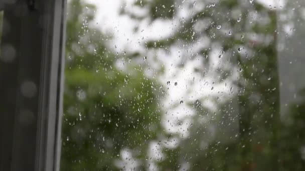 Vattenfall faller ner på fönsterglaset i regnigt väder. — Stockvideo