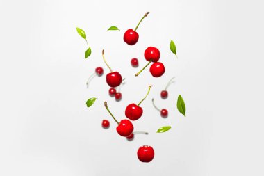 Beyaz arka planda yeşil yapraklı olgun kiraz çileği. Böğürtlen yaz geçmişi. Düz yatış, üst görünüm,