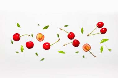 Düşen organik olgun kirazlar ve beyaz arka planda yeşil yapraklar..