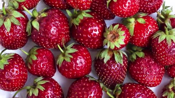 Close-up van verse aardbeien op witte achtergrond. Bovenaanzicht — Stockvideo