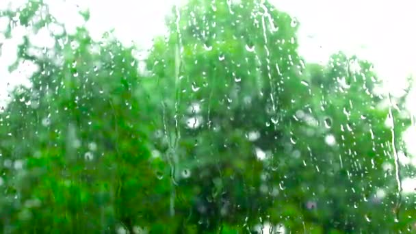 Chuva cai na janela de vidro em casa. Chuva forte lá fora, chuva forte, furacão — Vídeo de Stock