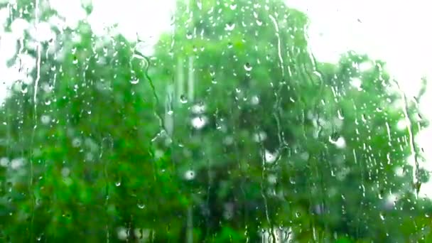 Chuva cai na janela de vidro em casa. Chuva forte lá fora, chuva forte, furacão — Vídeo de Stock