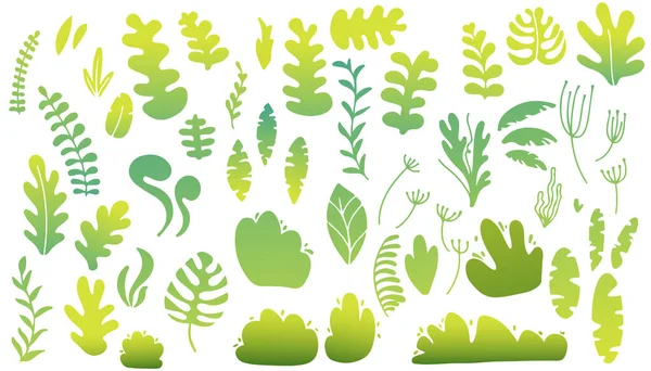 Vårkollektion Grön Trädgård Vegetation Buskar Och Växter Design Ikon Set — Stock vektor