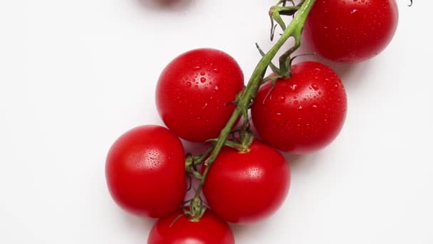 Tomates crues fraîches sur fond blanc, — Video