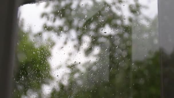 Spadająca kropla wody na szybę w deszczową pogodę. Silny deszcz, silny deszcz, huragan — Wideo stockowe