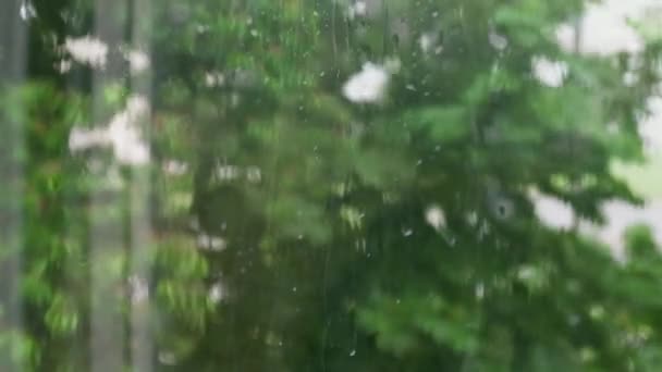 Gros plan de pluie sur verre de fenêtre avec des arbres verts à l'extérieur. Pluie sur le verre. Forte pluie, forte pluie, ouragan