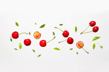 Beyaz arka planda yeşil yapraklı kiraz üzümü yükseliyor. Böğürtlen yaz geçmişi. Düz konum, üst görünüm, kopyalama alanı