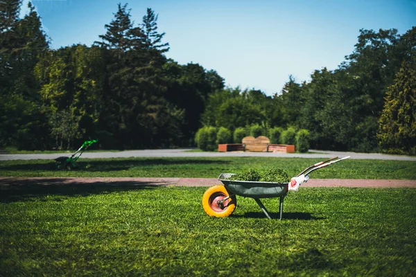 Gartenschubkarre aus Metall auf dem Rasen im Garten zur Reinigung des Geländes — Stockfoto