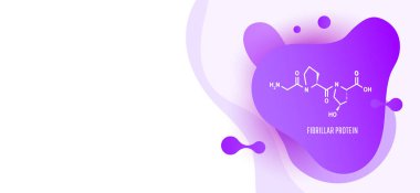 Kolajen, tüm organizmanın bağ dokusunun temelini oluşturan bir fibrilasyon proteinidir..